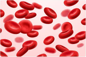 Anemia Type Detection Model